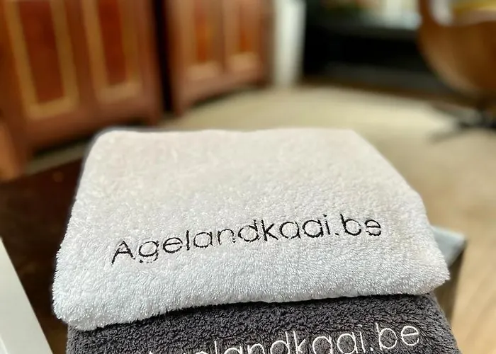 L'atique By Agelandkaai Be With Free Parking Apartamento *