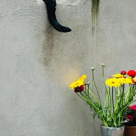 L'atique By Agelandkaai Be With Free Parking *