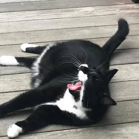 L'atique By Agelandkaai Be With Free Parking Appartement