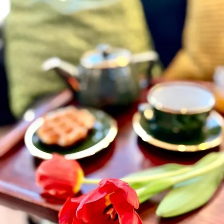 L'atique By Agelandkaai Be With Free Parking Gent