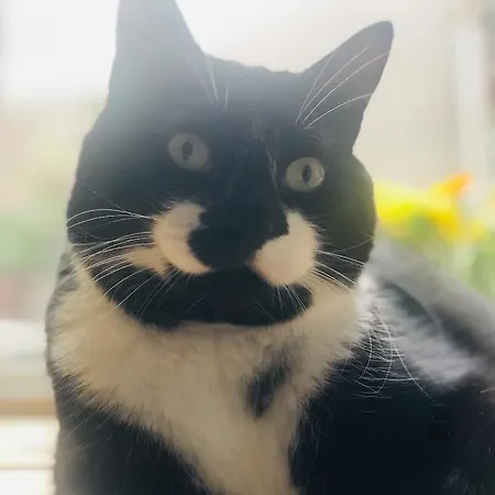 Appartement L'atique By Agelandkaai Be With Free Parking Gent