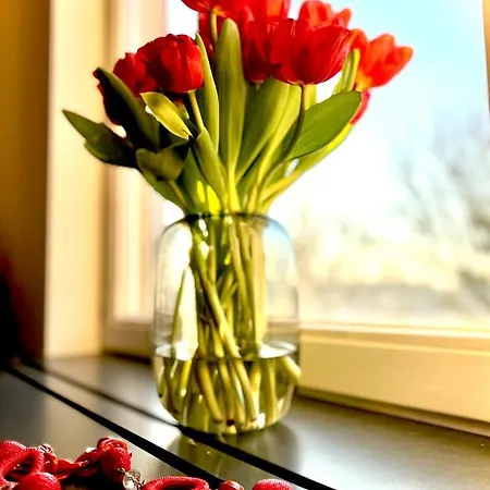 아파트 L'atique By Agelandkaai Be With Free Parking *