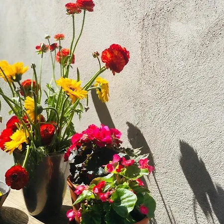 L'atique By Agelandkaai Be With Free Parking * 헨트