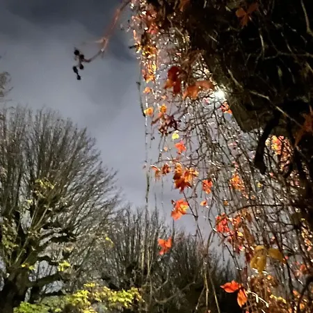 L'atique By Agelandkaai Be With Free Parking