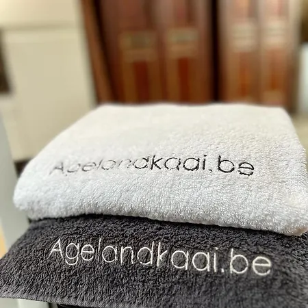 L'Atique By Agelandkaai-Be With Airco Апартаменты Гент