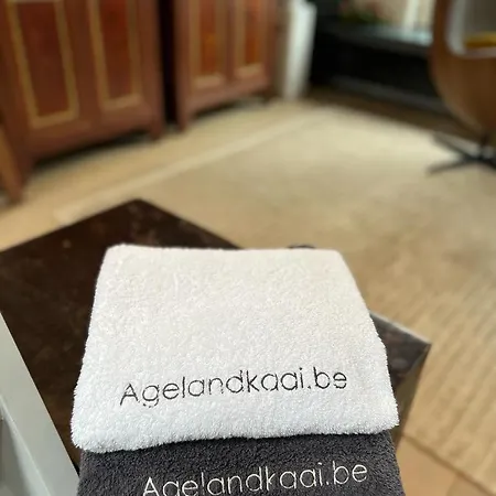 Apartment L'atique By Agelandkaai Be With Free Parking Ghent