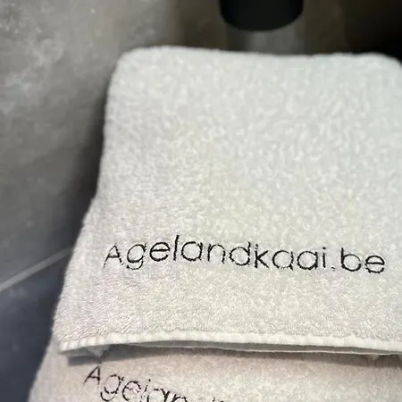 L'atique By Agelandkaai Be With Free Parking *