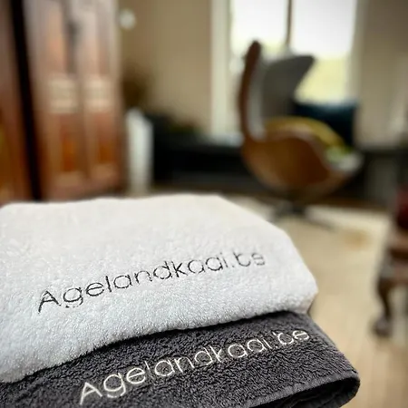 L'Atique By Agelandkaai-Be With Airco * Гент