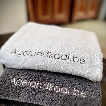 Апартаменты L'Atique By Agelandkaai-Be With Airco