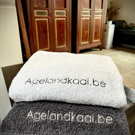 L'atique By Agelandkaai Be With Free Parking 아파트 *