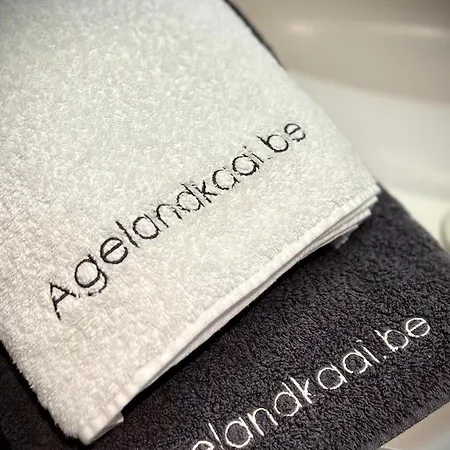 L'atique By Agelandkaai Be With Free Parking Ghent