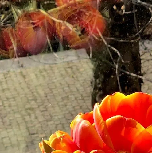 L'atique By Agelandkaai Be With Free Parking Apartament