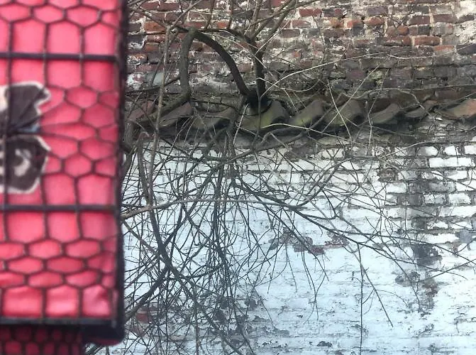 L'atique By Agelandkaai Be With Free Parking Apartament *