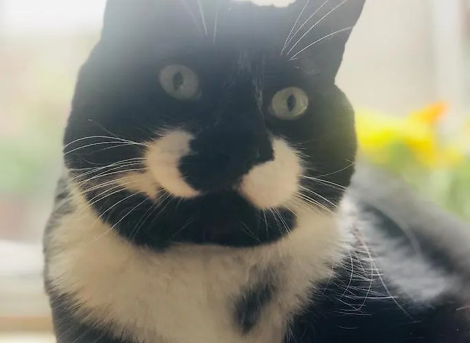 Apartament L'atique By Agelandkaai Be With Free Parking Gandawa