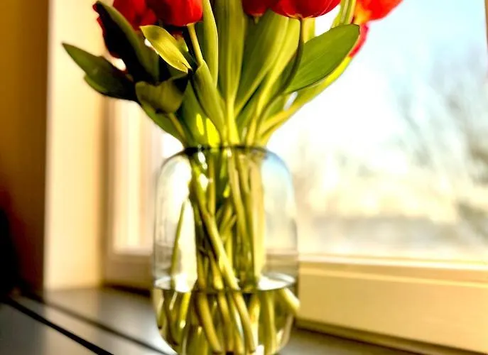 Daire L'atique By Agelandkaai Be With Free Parking *