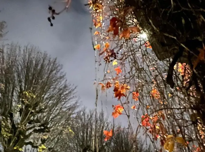 L'atique By Agelandkaai Be With Free Parking