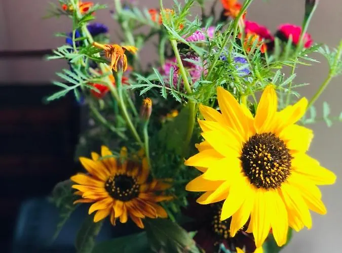 L'atique By Agelandkaai Be With Free Parking