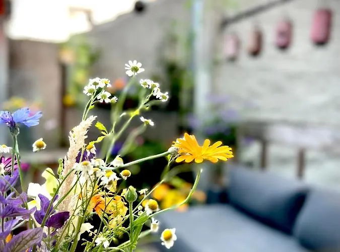 L'atique By Agelandkaai Be With Free Parking