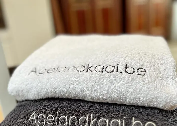 L'atique By Agelandkaai Be With Free Parking Daire Gent