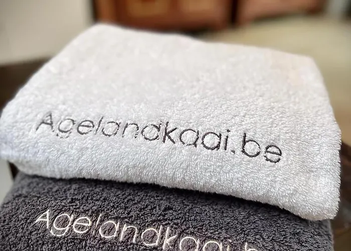 Daire L'atique By Agelandkaai Be With Free Parking