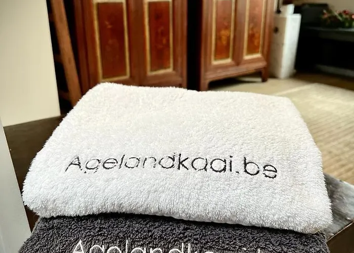 L'atique By Agelandkaai Be With Free Parking Daire *