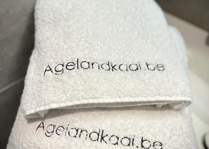 Daire L'atique By Agelandkaai Be With Free Parking *