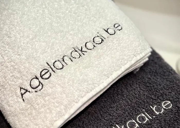 L'atique By Agelandkaai Be With Free Parking Gandawa