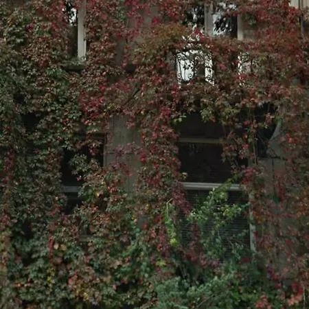 L'atique By Agelandkaai Be With Free Parking * Gent