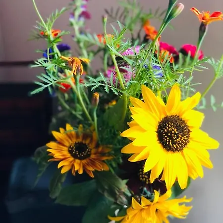 L'atique By Agelandkaai Be With Free Parking