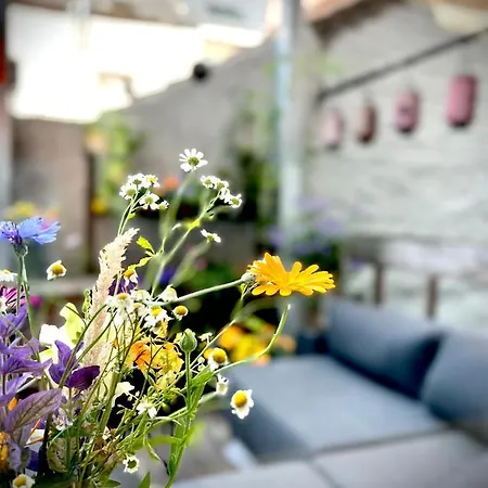 L'atique By Agelandkaai Be With Free Parking